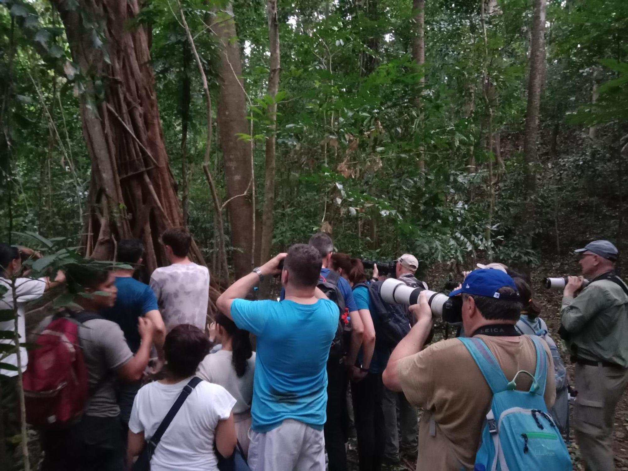 Tangkoko Backpacker Home Stay Rinondoran Εξωτερικό φωτογραφία